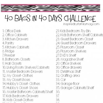 Organize & Declutter: 40 Bags in 40 Days Challenge