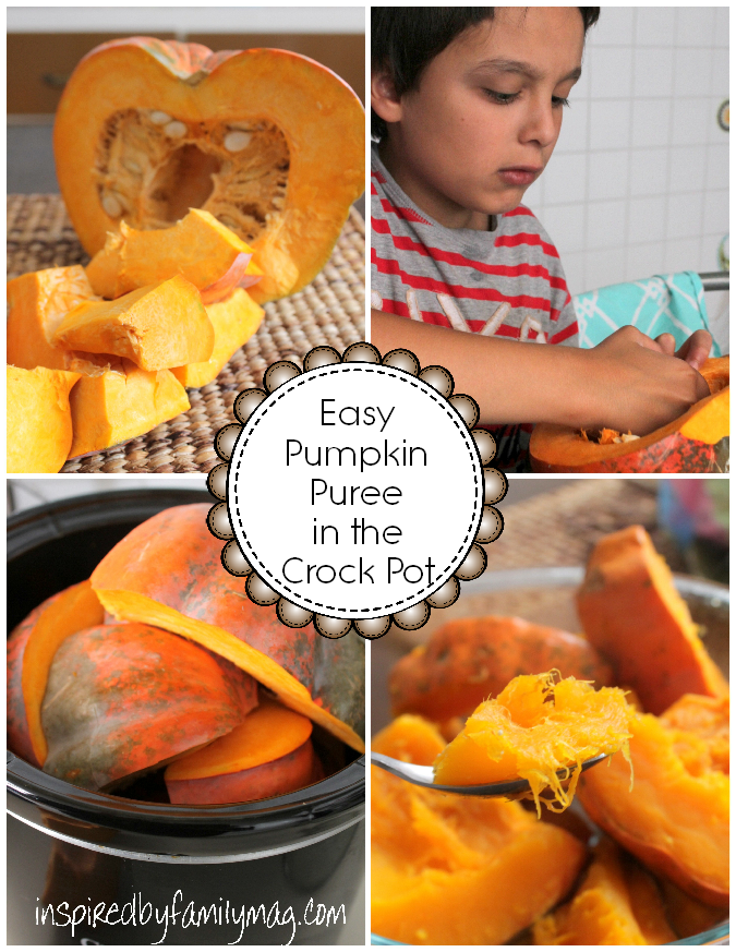 pumpkin puree in the crockpot recipe