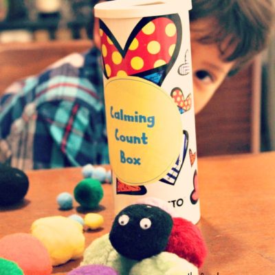 Calming Count Box Activity for Kids