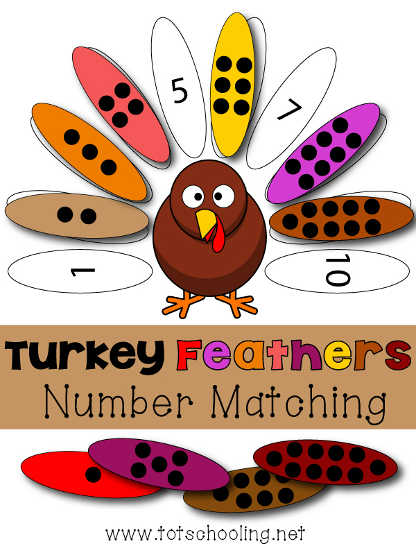 turkeys math