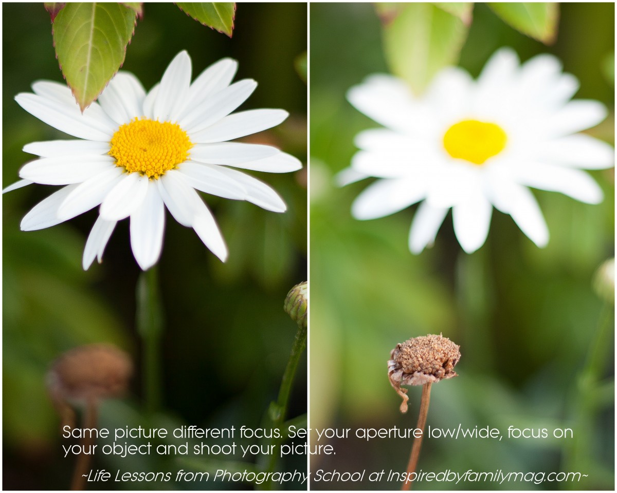 A Few Changes Can Lead to Great Photos: Tip 1 - Inspired by Family