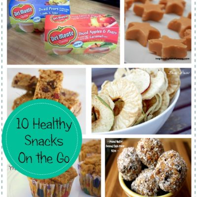 10 Healthy Snacks on the Go Kids Love