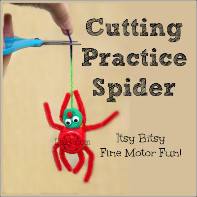 cutting practice spider