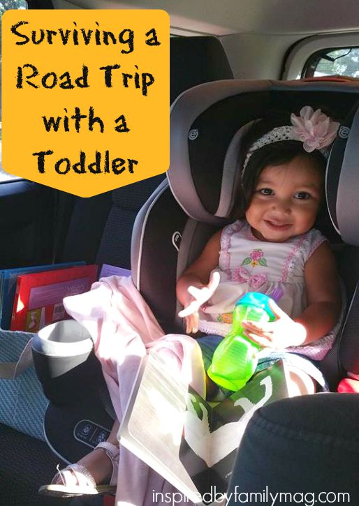 traveling with toddlers 4