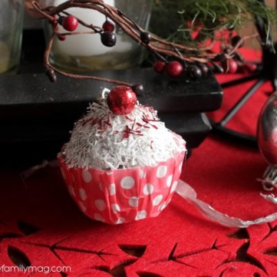 Recycled Ornament Craft
