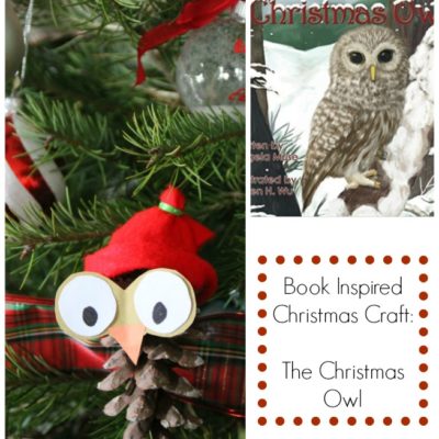 A One of a Kind Children’s Christmas Book Story & Owl Ornament